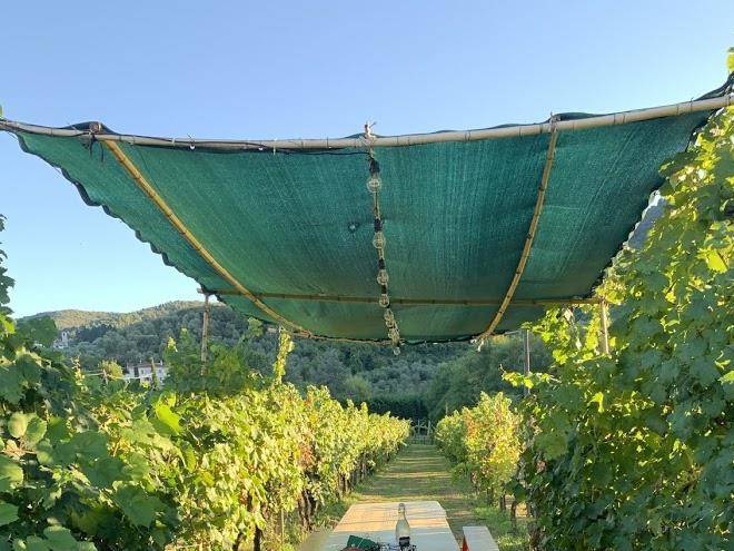 Agriturismo magic moments