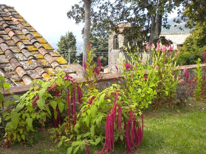 Agriturismo valgiano il palazzo