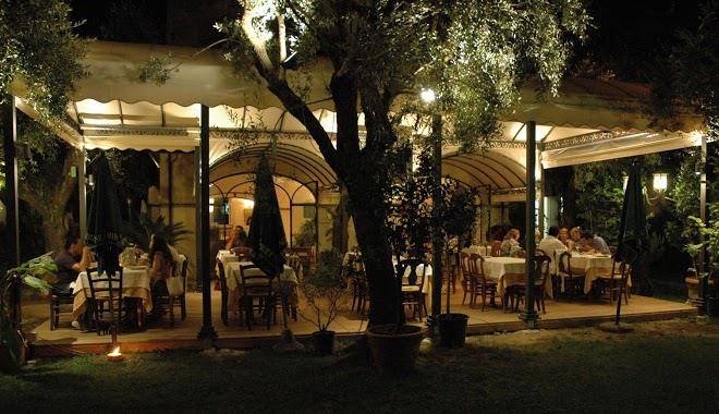 Antico uliveto