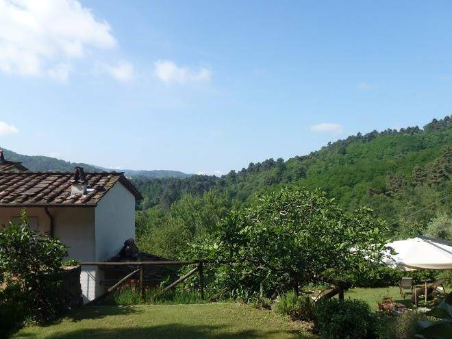 Azienda agricola biologica nico