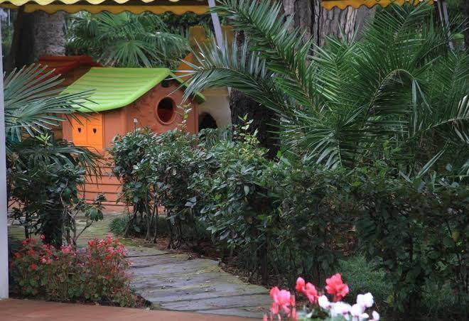 Bed and breakfast raffaelli villino limoni