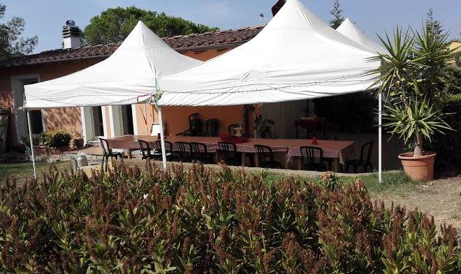 Fattoria cercatoia alta