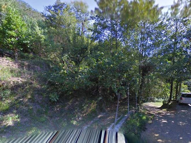 L'aia versilia azienda agricola