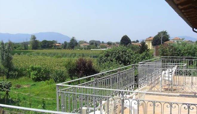 L'orto delle palme