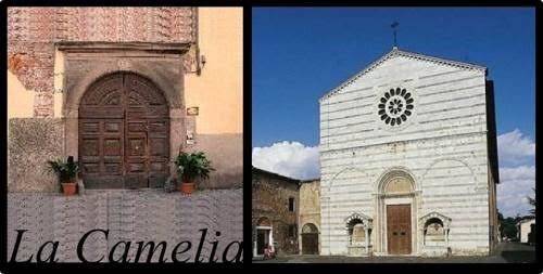 La camelia