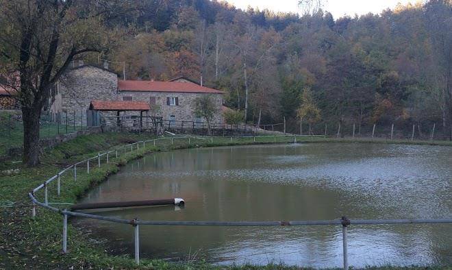 Agriturismo ca copiado