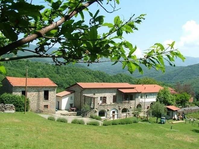 Agriturismo ca' del lupo