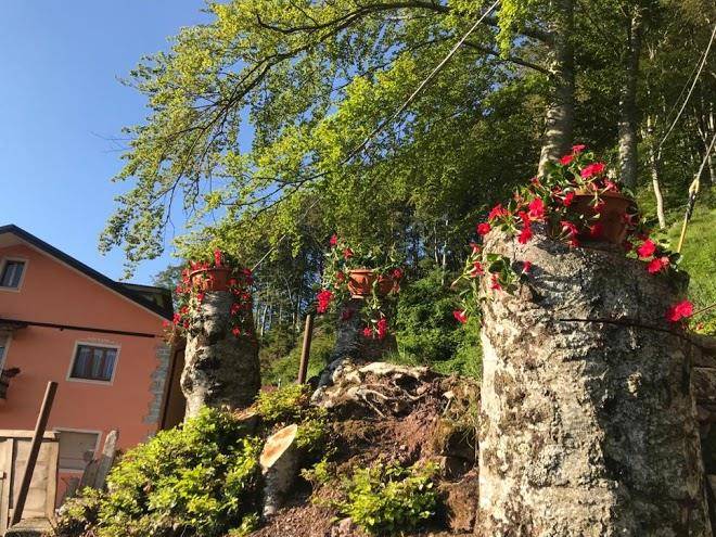 Agriturismo la rosa spina