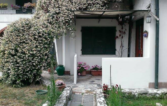 B&b notti magiche