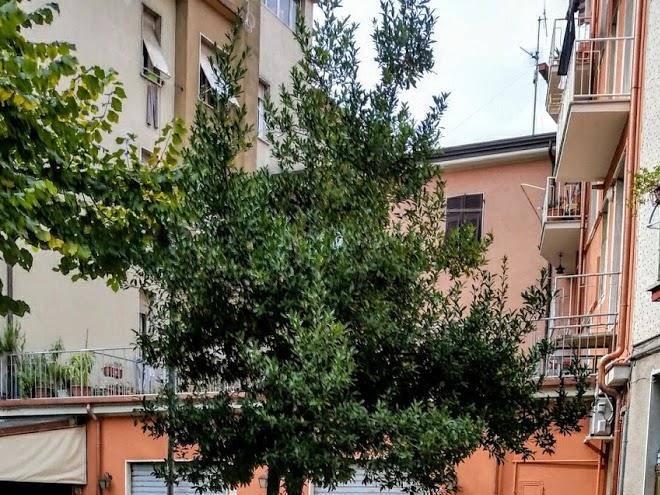 Il Sole Della Lunigiana Image