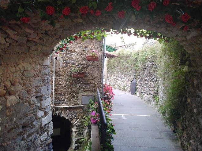 L ' canton b & b