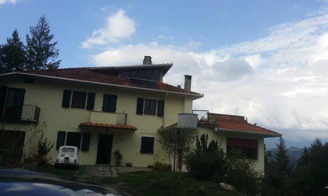 Le apuane