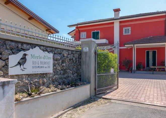 Merlo d'oro