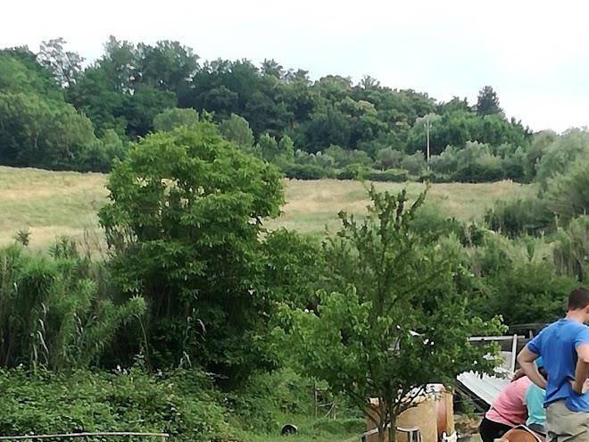 Agriturismo biologico tenuta il pino di tiberi stefano