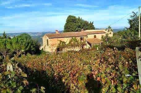 Agriturismo fonte martino
