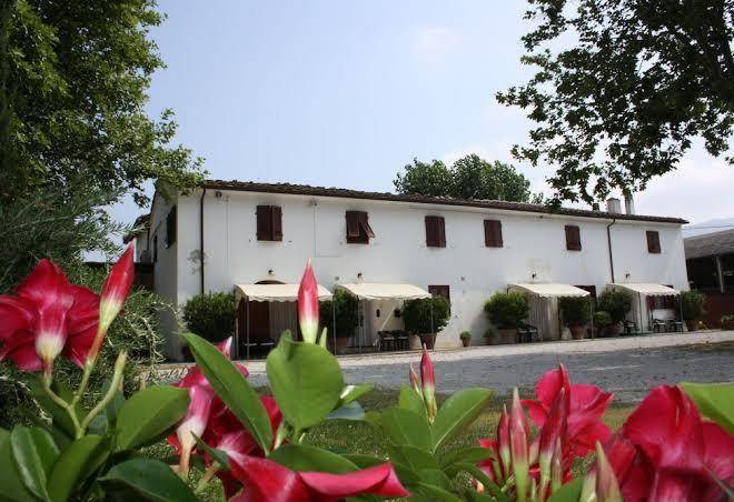 Agriturismo la pisana di puma societa agricola srl