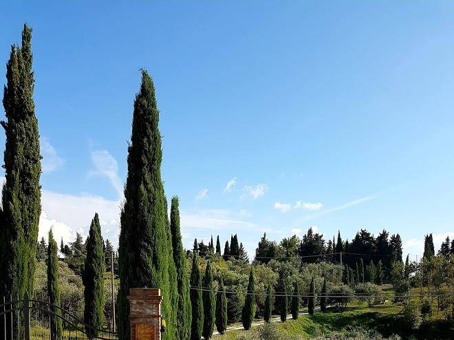 Agriturismo podere le figurette