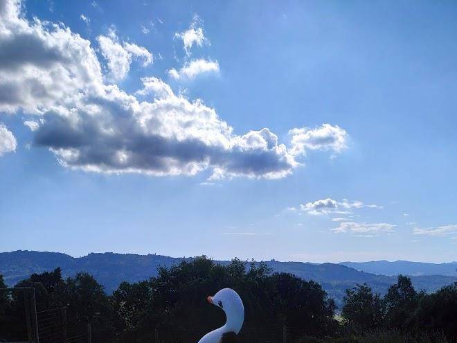 Agriturismo san michele