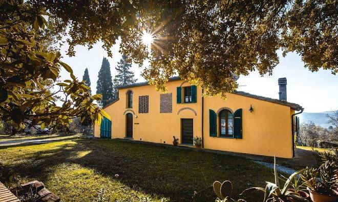 Fattoria aglioni