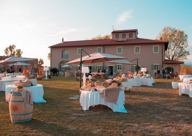 Fattoria l'olmetto