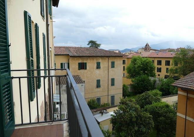 Gialel pisa
