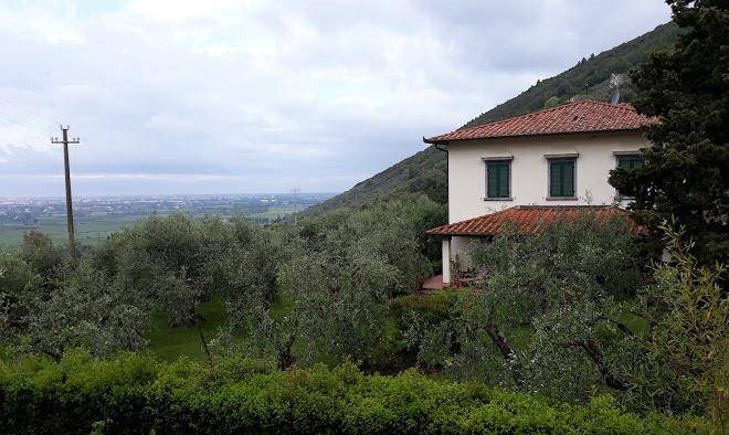 Giardino di annius
