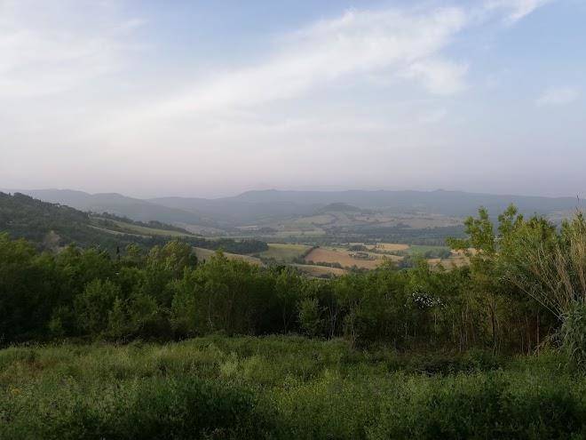 Guardistallo