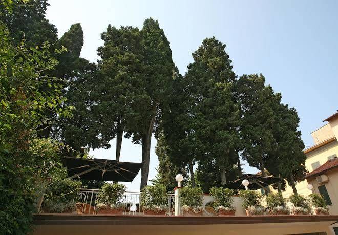 Hotel bologna pisa