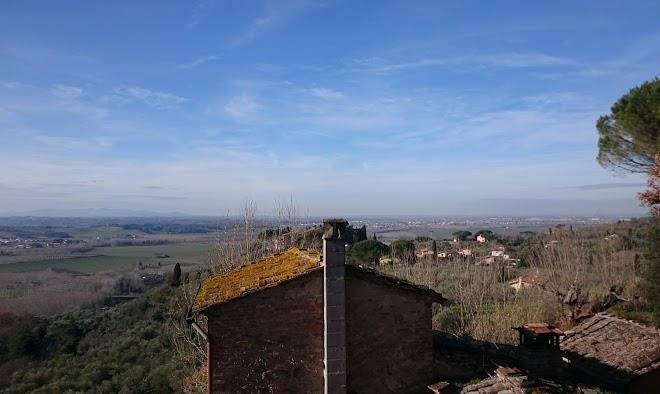 Il boschetto