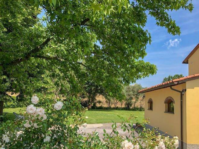 Il giardino dei fiori