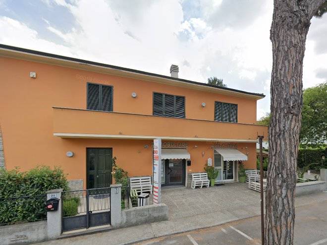 Il pisano