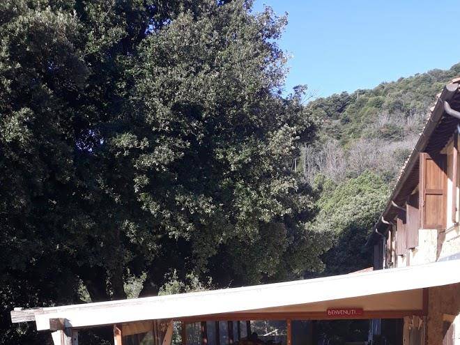 Il riccio azienda agricola ristorante piscina