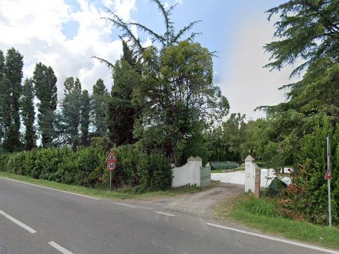 L'oliveto san giovanni
