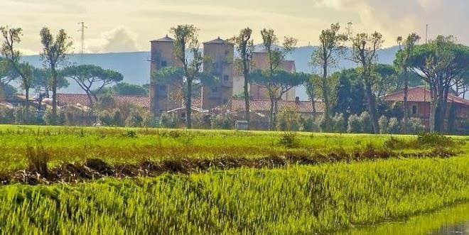 La fattoria di tirrenia