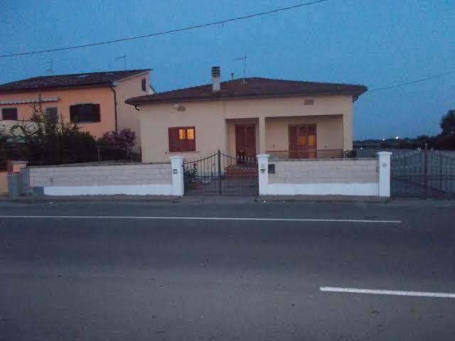 Nonna papera