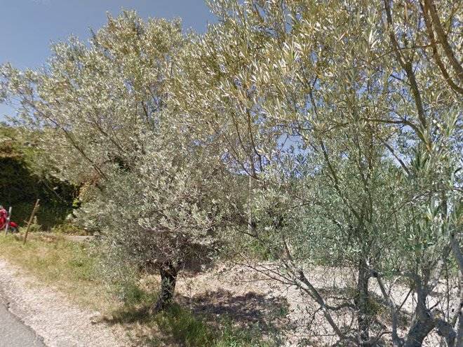 Podere fornacchia