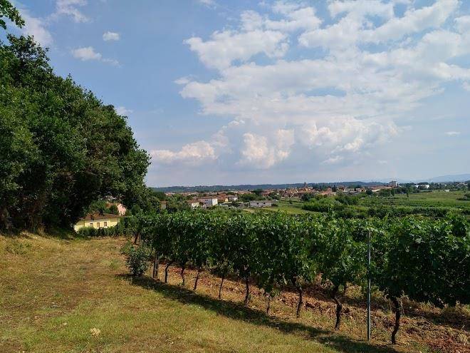 Podere le catastine i