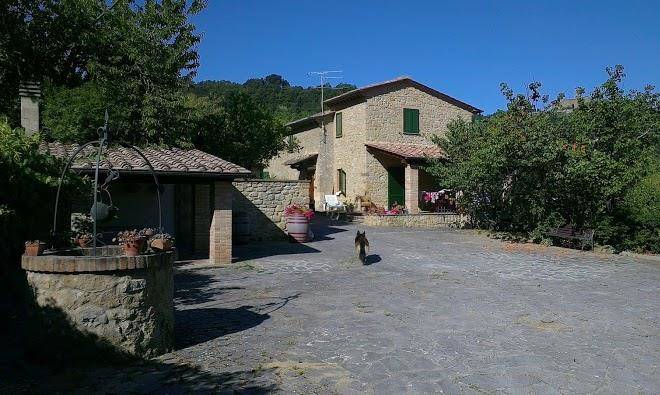 Podere le pergole