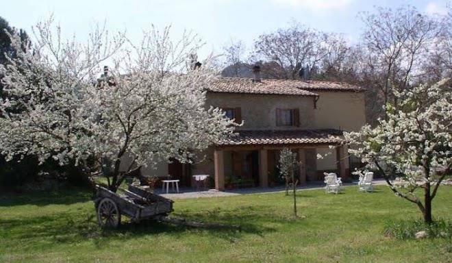 Podere pian dei gelsi