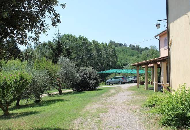Poggio dei michelazzi