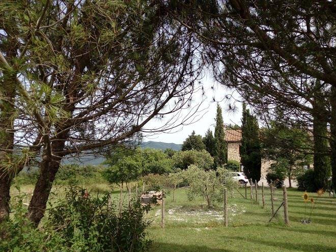 Tenuta agroforestale del montevaso