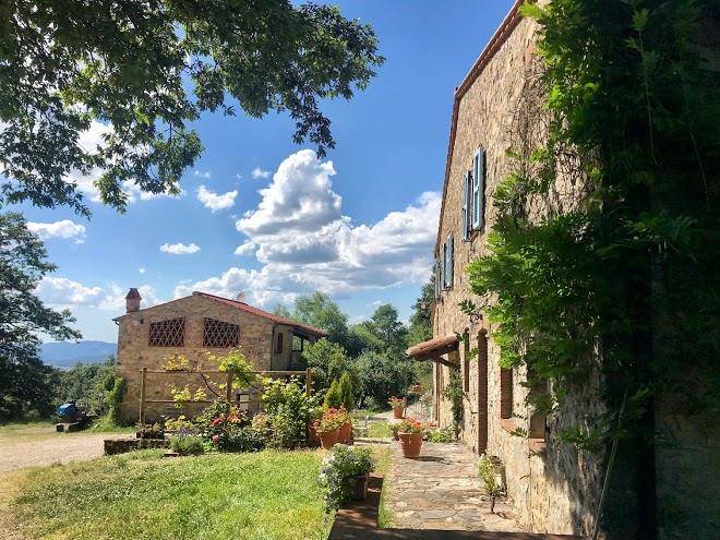 Tenuta codirosso