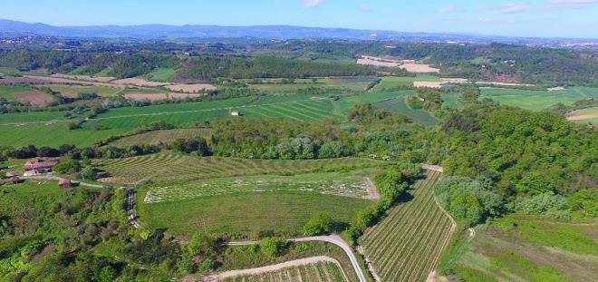 Tenuta di ghizzano