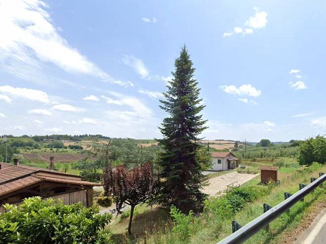 Venerosi pesciolini ginevra