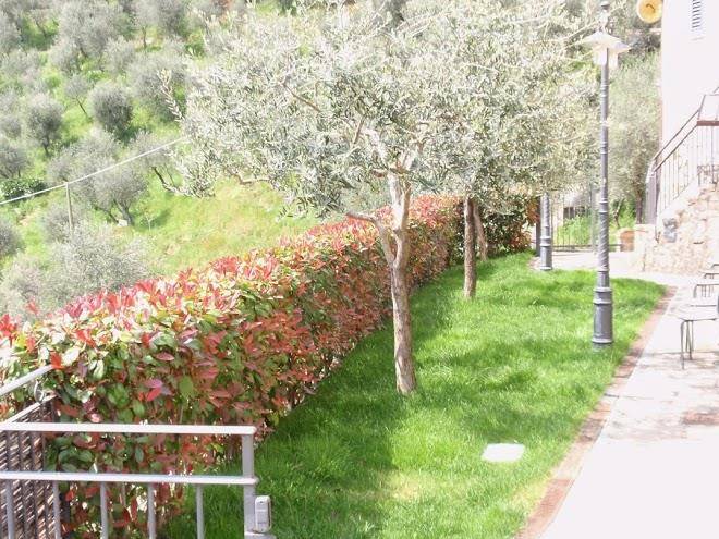 Affittacamere palmira