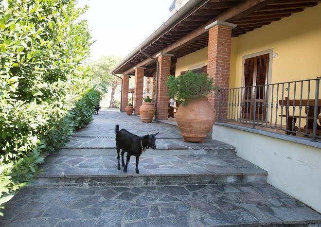 Agriturismo poggetto