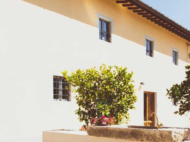 Az agr agrituristica ceppeto primo