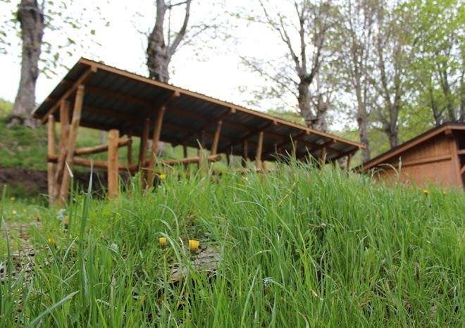 Azienda bio agrituristica i taufi
