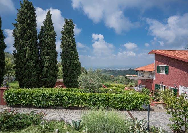 B&b rosso baccara