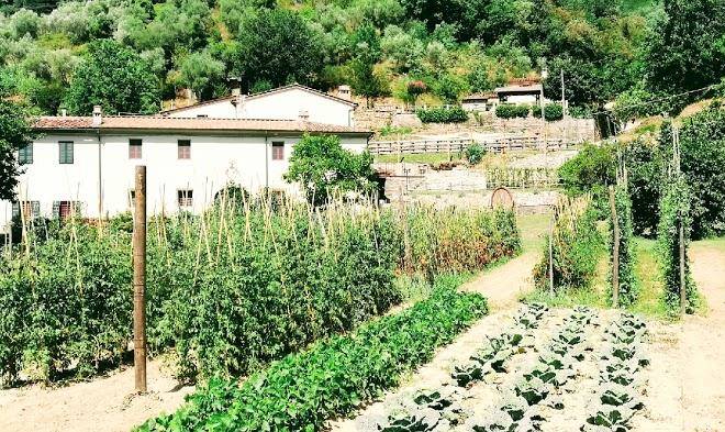 Il mulino di celle agriturismo